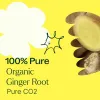 Organic Ginger Root CO2 Essential Oil - 10 mL