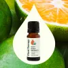 Organic Green Mandarin Essential Oil - 10 mL