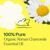 Organic Roman Chamomile Essential Oil  2.5 mL