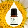Organic Roman Chamomile Essential Oil  2.5 mL