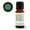 Organic Sweet Marjoram Essential Oil - 10 mL