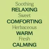 Organic Sweet Marjoram Essential Oil - 10 mL