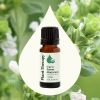 Organic Sweet Marjoram Essential Oil - 10 mL