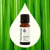 Palmarosa Essential Oil 10 mL