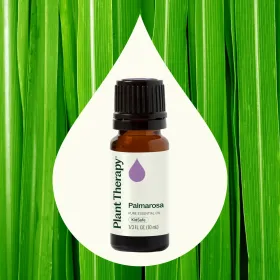 Palmarosa Essential Oil 10 mL