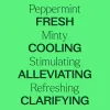 Peppermint Pre-Diluted Essential Oil Roll-On 10 mL