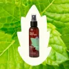Peppermint Hydrosol Spray - 4 oz