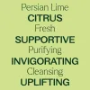 Persian Lime Essential Oil - 10 mL