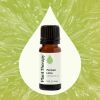 Persian Lime Essential Oil - 10 mL