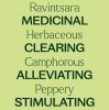 Ravintsara Essential Oil - 10 mL