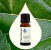 Ravintsara Essential Oil - 10 mL