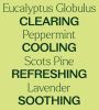 Respir Aid Synergy Essential Oil