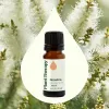 Rosalina Essential Oil - 10 mL