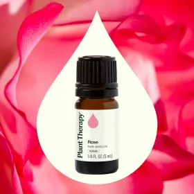 Rose Pure Absolute   5 mL