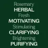 Rosemary Hydrosol - 4 oz