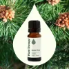 Scots Pine Essential Oil  10 mL
