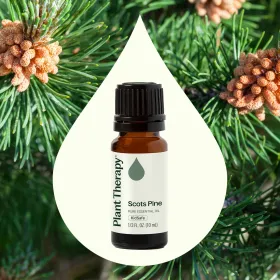 Scots Pine Essential Oil  10 mL