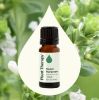 Sweet Marjoram Essential Oil - 10 mL