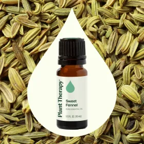 Sweet Fennel Essential Oil 10 mL