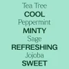 Tea Tree & Peppermint Body Wash - 16 oz