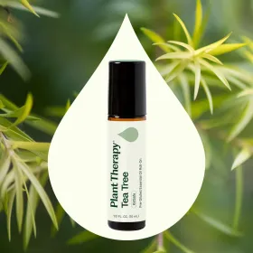 Tea Tree Pre-Diluted Essential Oil Roll-On 10 mL