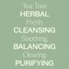 Tea Tree Hydrosol - 4 oz