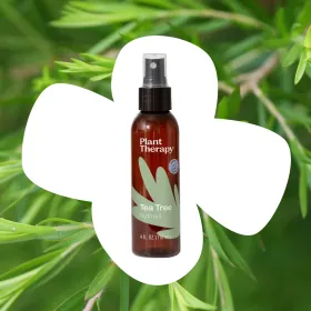 Tea Tree Hydrosol - 4 oz