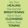 Tea Tree with Niacinamide Facial Serum 1 oz