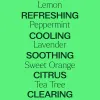 Plant Therapy - Top 14 Singles Set (10 mL)