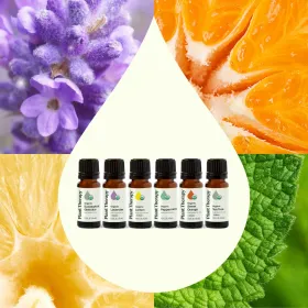 Top 6 Singles Organic Essential Oil