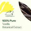 Vanilla Pure Botanical Extract 10 mL