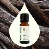 Vanilla Pure Botanical Extract 10 mL