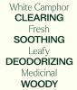 White Camphor Essential Oil 10 mL