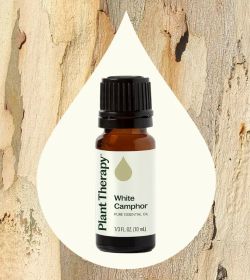 White Camphor Essential Oil 10 mL