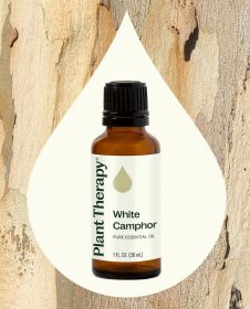White Camphor Essential Oil 30 mL