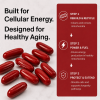 Urolithin A Supplement Softgels 500mg for Cellular Renewal & Healthy Aging