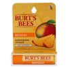 Mango Moisturizing Lip Balm Blister By Burts Bees For Unisex - 0.15 Oz Lip Balm