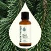 Black Spruce Essential Oil