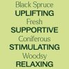 Black Spruce Essential Oil