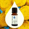 Blue Tansy Essential Oil