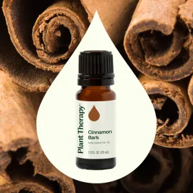 Cinnamon Bark Essential Oil (Option: 10 mL)