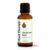 Cinnamon Bark Essential Oil