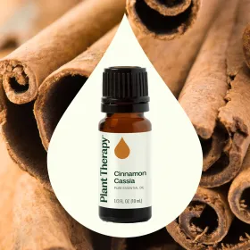 Cinnamon Cassia Essential Oil (Option: 10 mL)