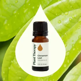 Cinnamon Leaf Essential Oil (Option: 10 mL)