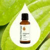 Cinnamon Leaf Essential Oil