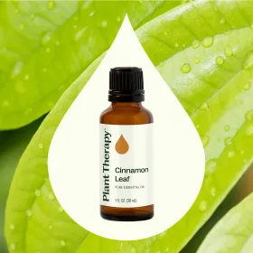Cinnamon Leaf Essential Oil (Option: 30 mL)