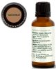 Clove Bud Essential Oil