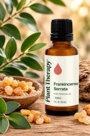 Frankincense Serrata Essential Oil (size: 30 L)