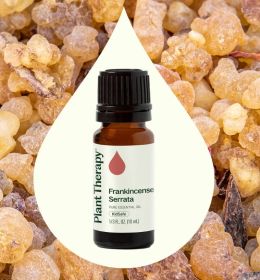 Frankincense Serrata Essential Oil (size: 10 L)