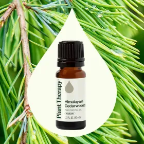 Himalayan Cedarwood Essential Oil (Option: 10 mL)